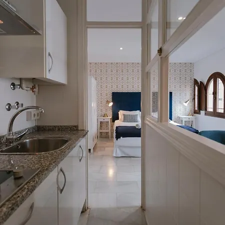 Complete Studio With Terrace - 1bth- La Giralda Apartment Seville